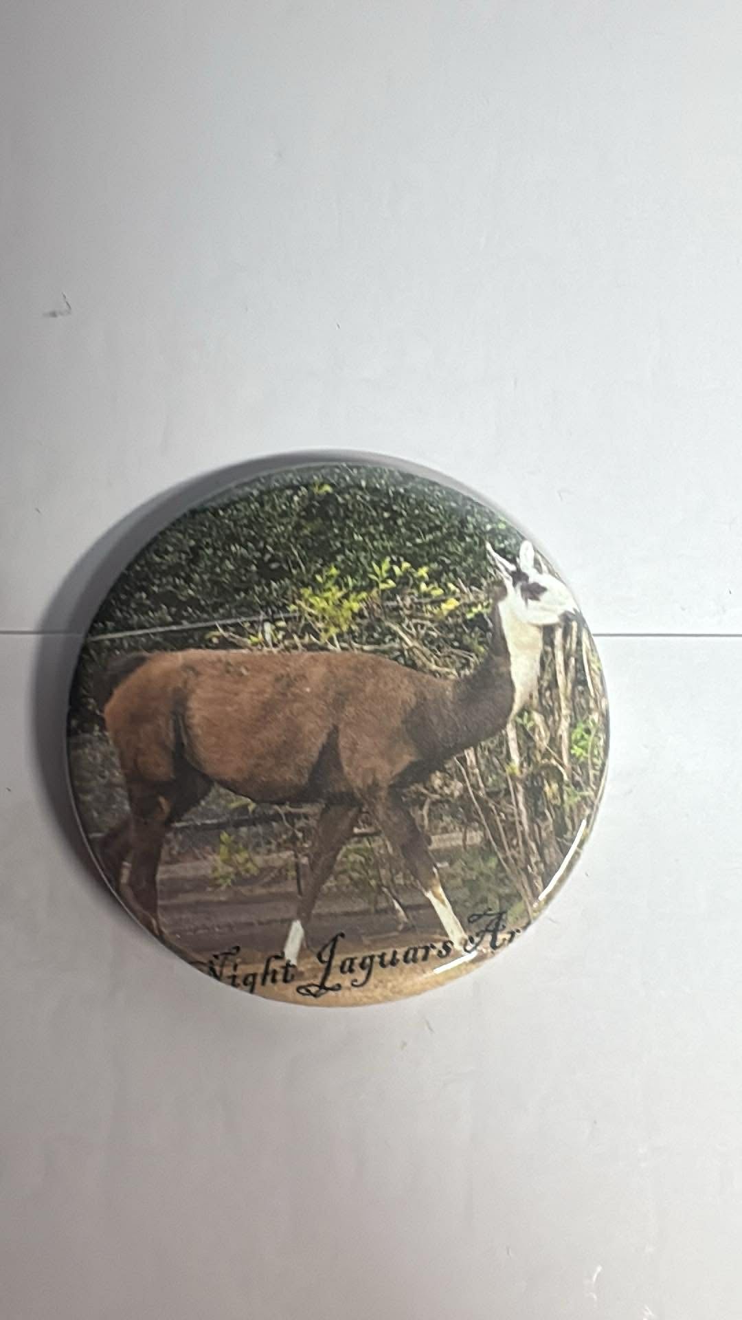Llama Fridge Magnet with Bottle Opener