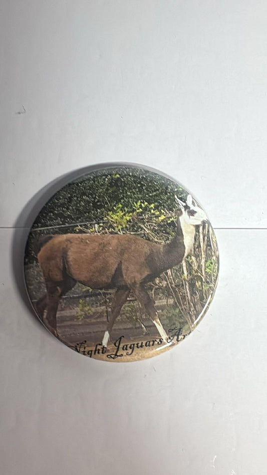 Llama Fridge Magnet with Bottle Opener