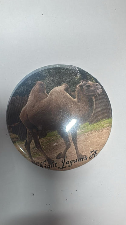 Camel fridge magnet bottle opener