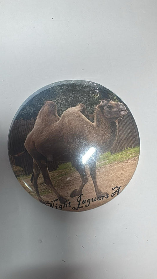 Camel fridge magnet bottle opener