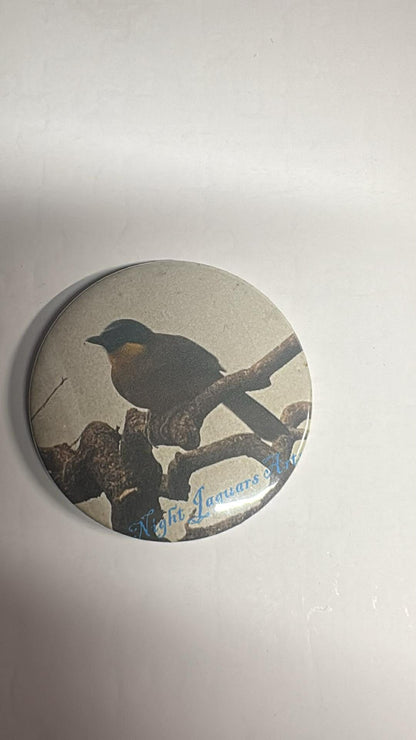 Robin Fridge Magnet with Bottle Opener