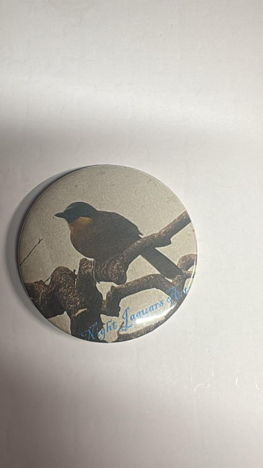 Robin Fridge Magnet with Bottle Opener
