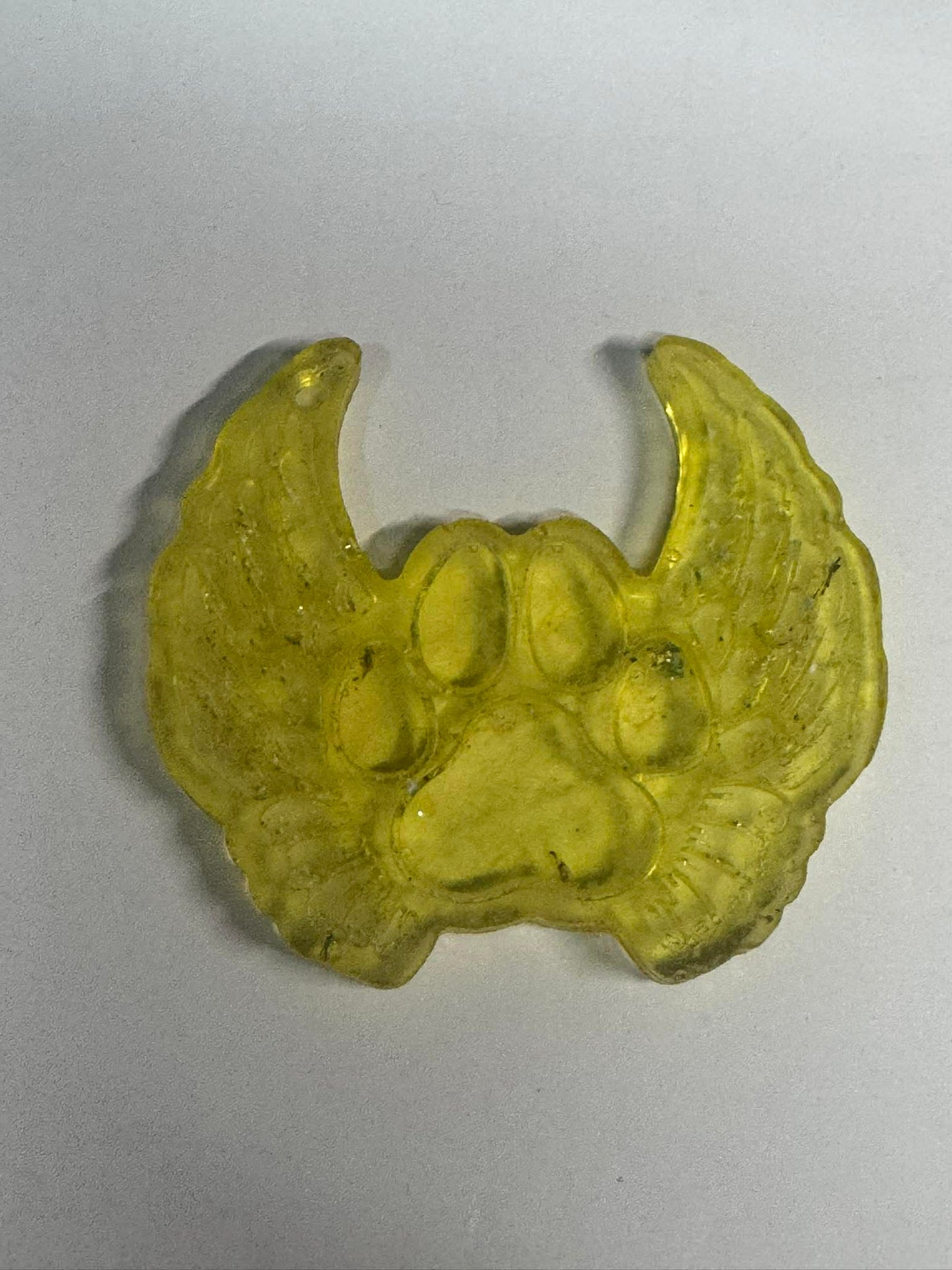 Resin paw with wings